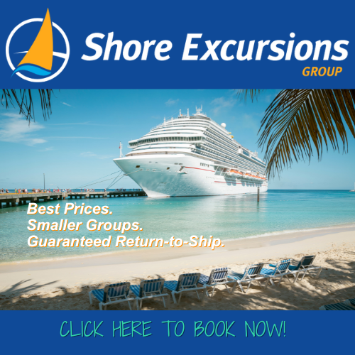 Shore Excursion Group Logo with cruise ship at port offering best prices smaller groups and guaranteed back to ship. 