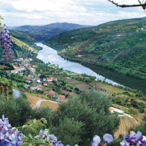 Photo of the Duoro River Valley in Portugal