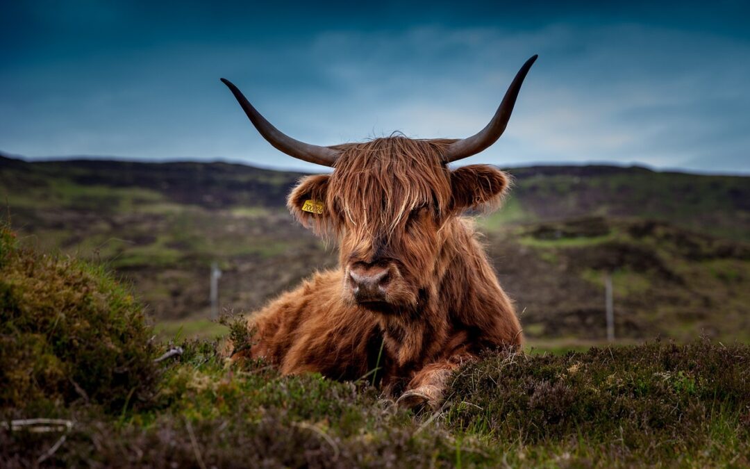 Scotland: Land of Lore & Legends – May 2026