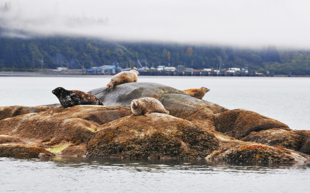 Alaska’s Inside Passage – April 2026